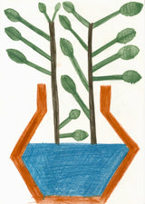 「冬の植物」原画作品