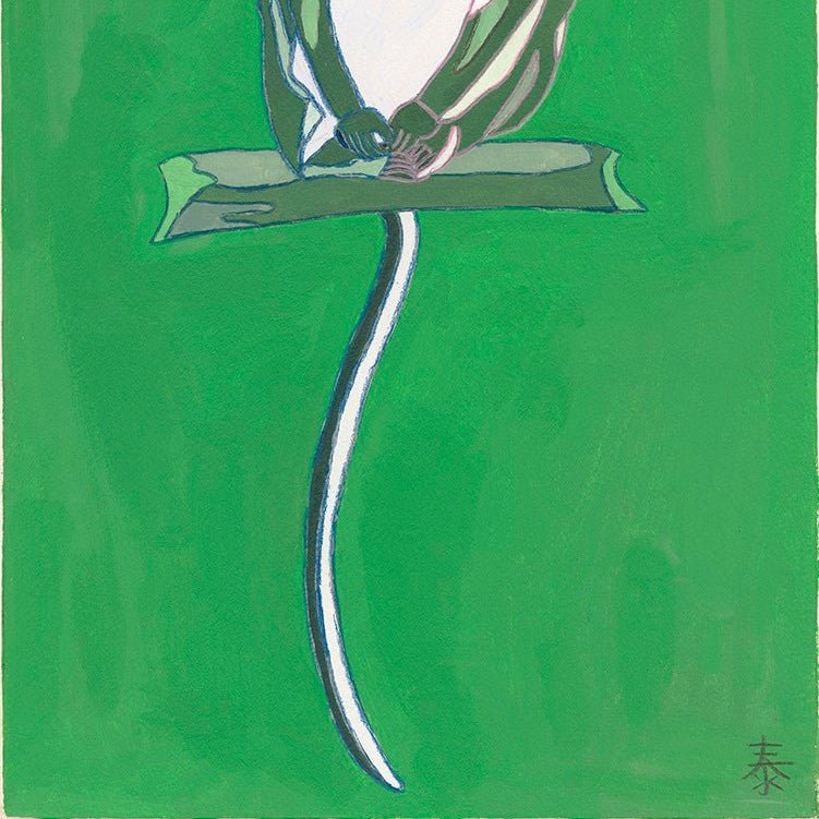￥「トクモンキー」原画作品Yasuhiro Kobayashi